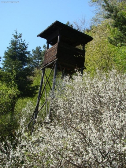 Najviac navštevovaný