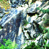 Bralo....Drienica.....