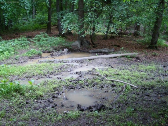 Kalištie