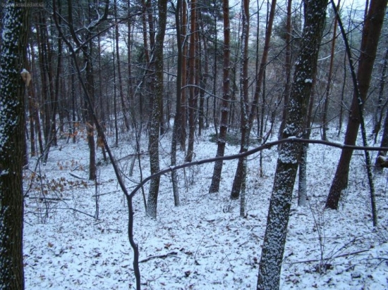 Novoročná prechádzka.