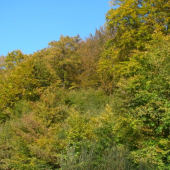 ....A je tu..............