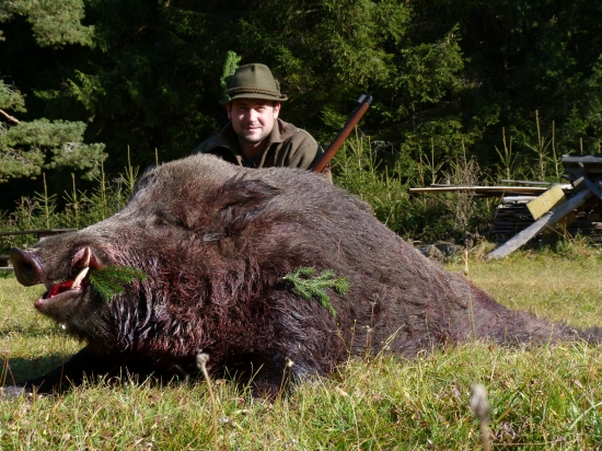 Velký diviak z Kopy