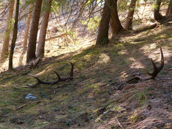 Keď sa šťastie unavi...