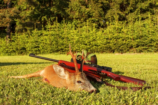 Štátnicová trojka