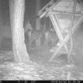 ide vlačik ši-ši-ši odveze nas k ...