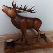 Ručiaci(susedova práca 2)...