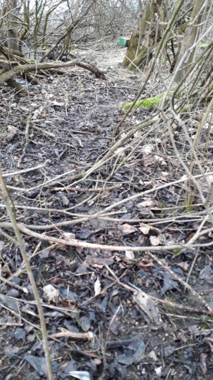 Ešte jedna z 31.1.2018