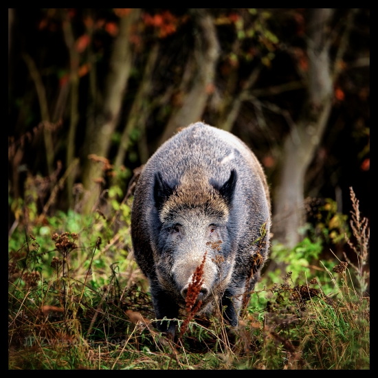 ...nevidi ma..nevidi ma...nevidi ma  ??