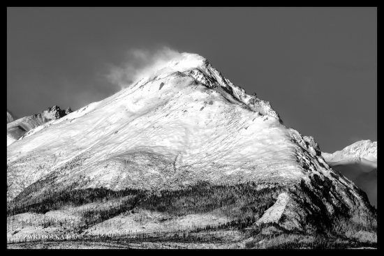 VT