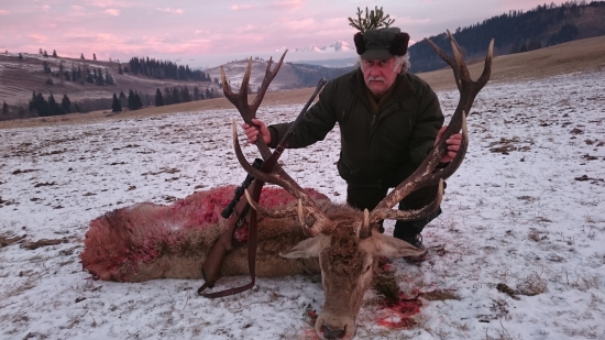 Starý jeleň dopriaty zrelému jágrovi...