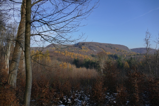Pohľad