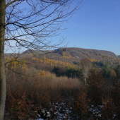 Pohľad