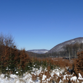 Na slniečku a ukazovák mrzne.