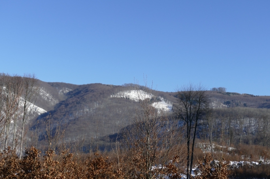 Priroda