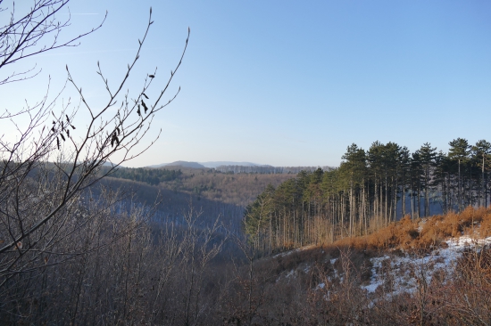 Priroda