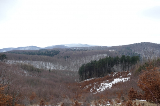 Pohľad.