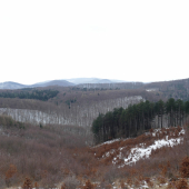Pohľad.