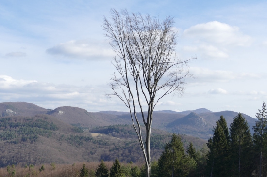 Priroda