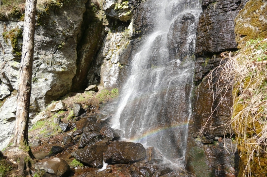 Dúha