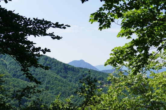 Vápeč