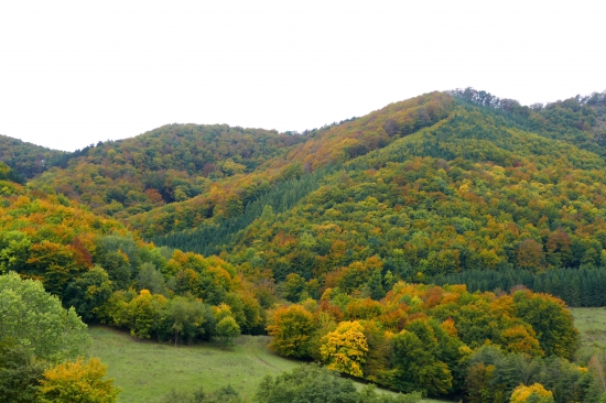Čaro jesene.