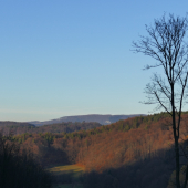 Novembrový podvečer v prírode.