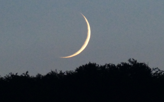 Luna