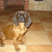 naša modelka