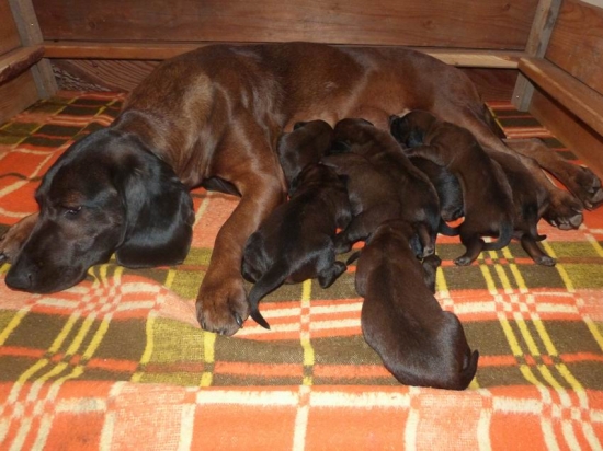 už máme týždeň...