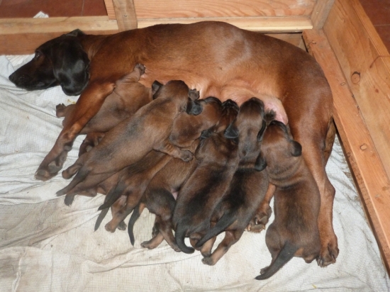 zišlo by sa viac miesta....