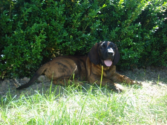 to sú ale teploty...