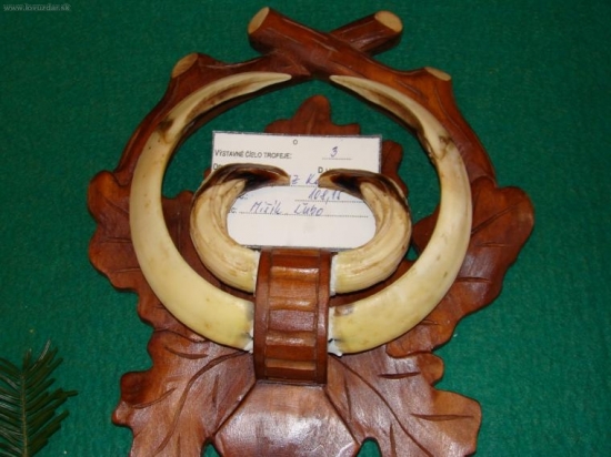 Kamarátov