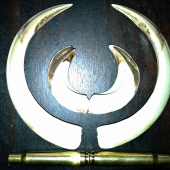 1.diviak
