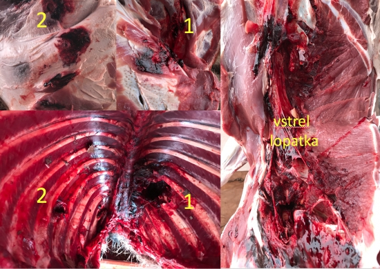 Norma Plastic Point  300WM