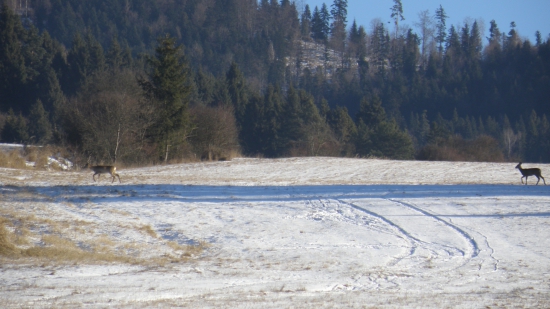 prechádzka