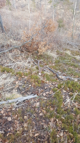 Ej ešte su vačšie