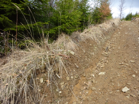 aj po ceste treba chodit