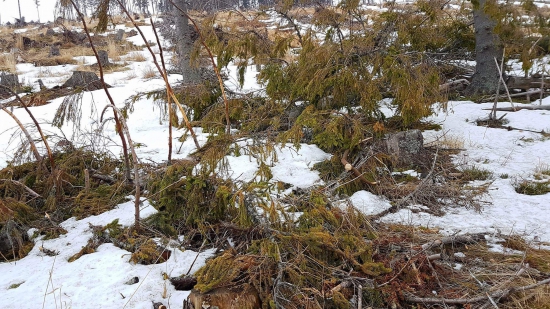 Tak ako by to malo byt vždy :)