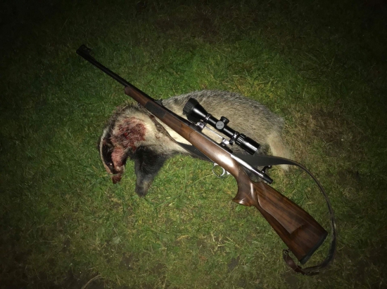 Prvy borsuk