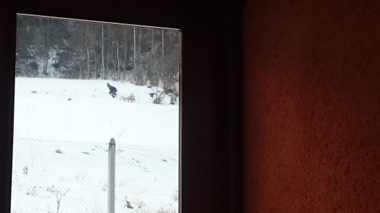 Aj maloletí sa oduševnene starajú o zver