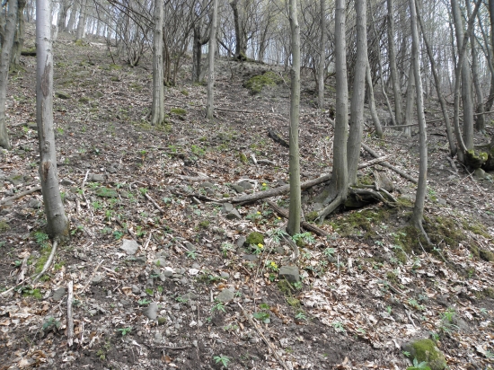 Potesil som sa......