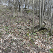 Potesil som sa......