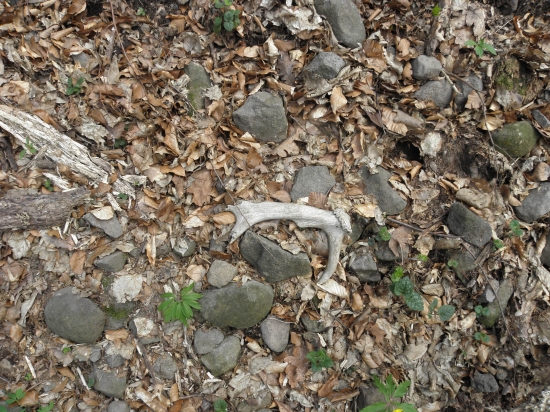 Ved kto by nemal radost?