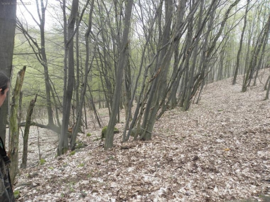 Ked najdete kde je........