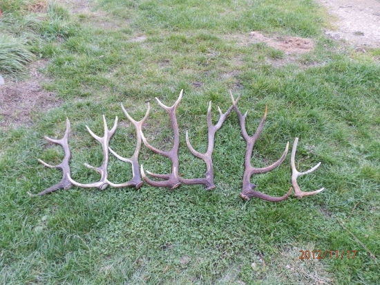 v jednom poraste za jeden deň