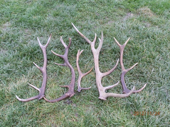 Ďalších 5 v prerezávke