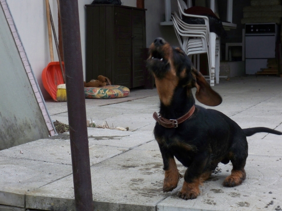 áááááááááááá moja noháááá!