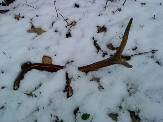 aprílové  sneženie