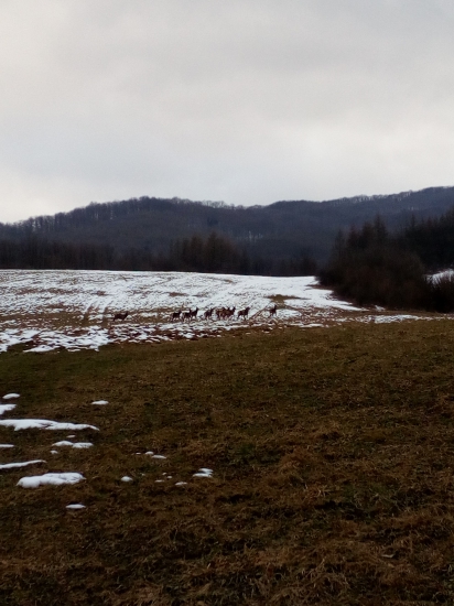 Vysoká