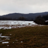 Vysoká